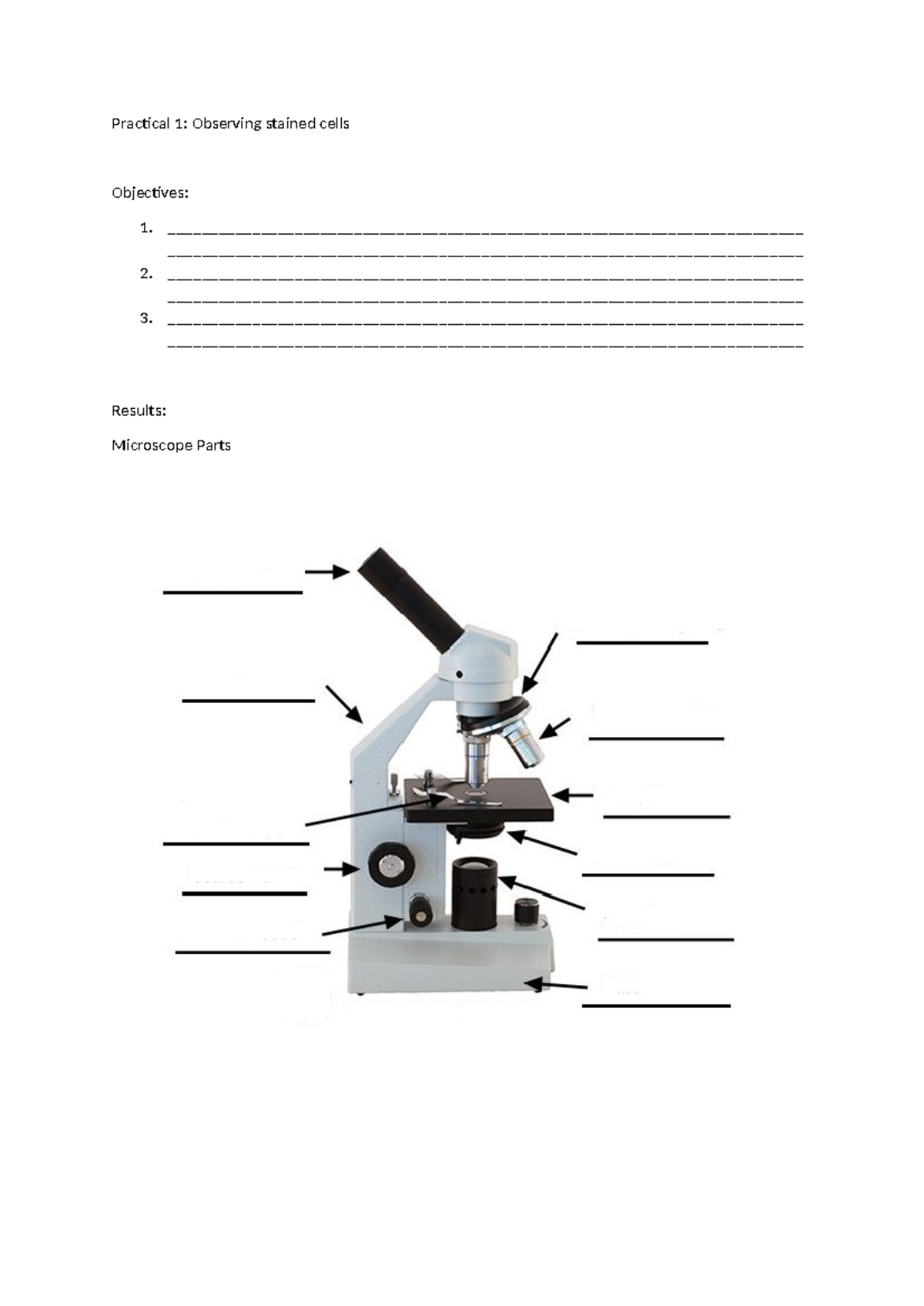 BIO461 Lab Report: Practical Observations and Staining Techniques - Studocu