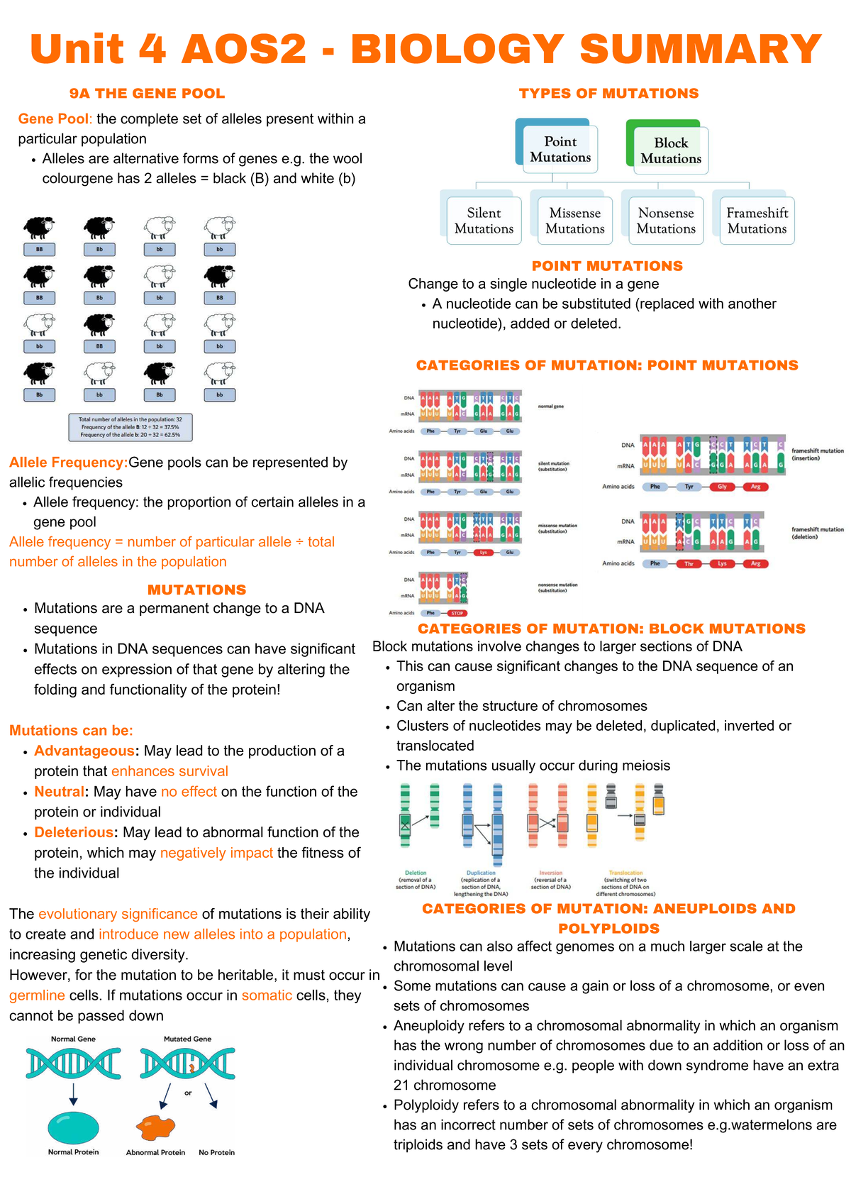 Unit 4 AOS2 Biology Summary: Gene Pool, Mutations, and Evolutionary ...