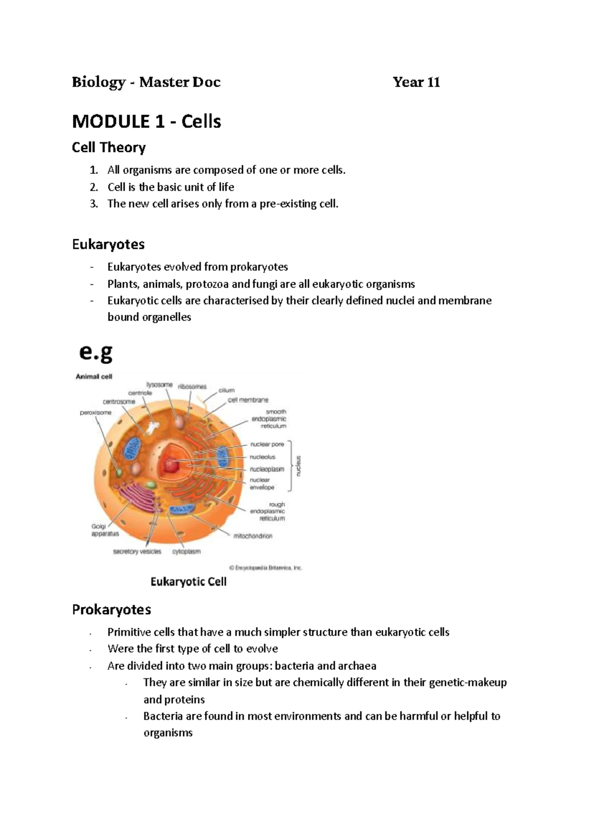 Physics Year 11 Module 1 Kinematics Definitions and Concepts - Studocu