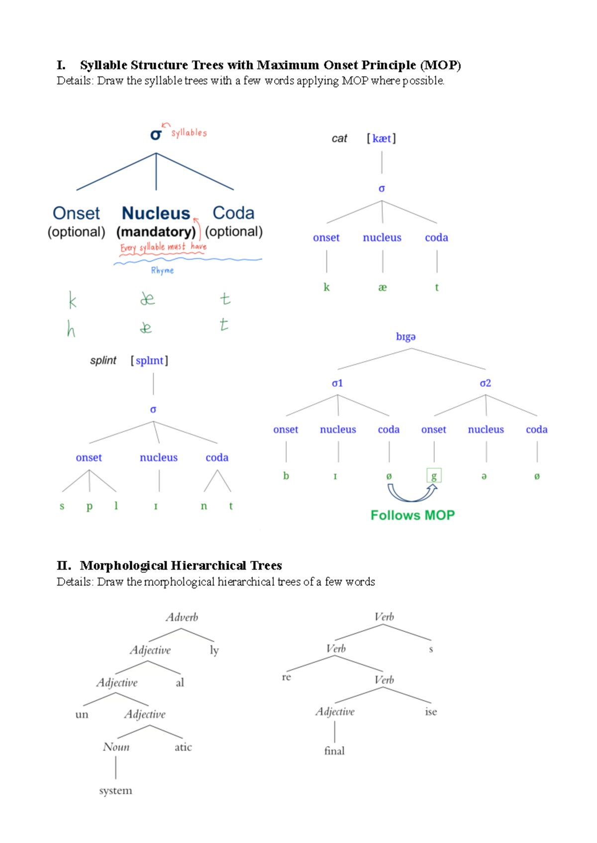 Linguistics Exam: Syllable Structures and Syntax Trees Analysis - Studocu