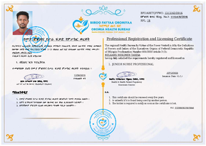 [Solved] Introduction to JavaScript - Object Oriented Programming in ...