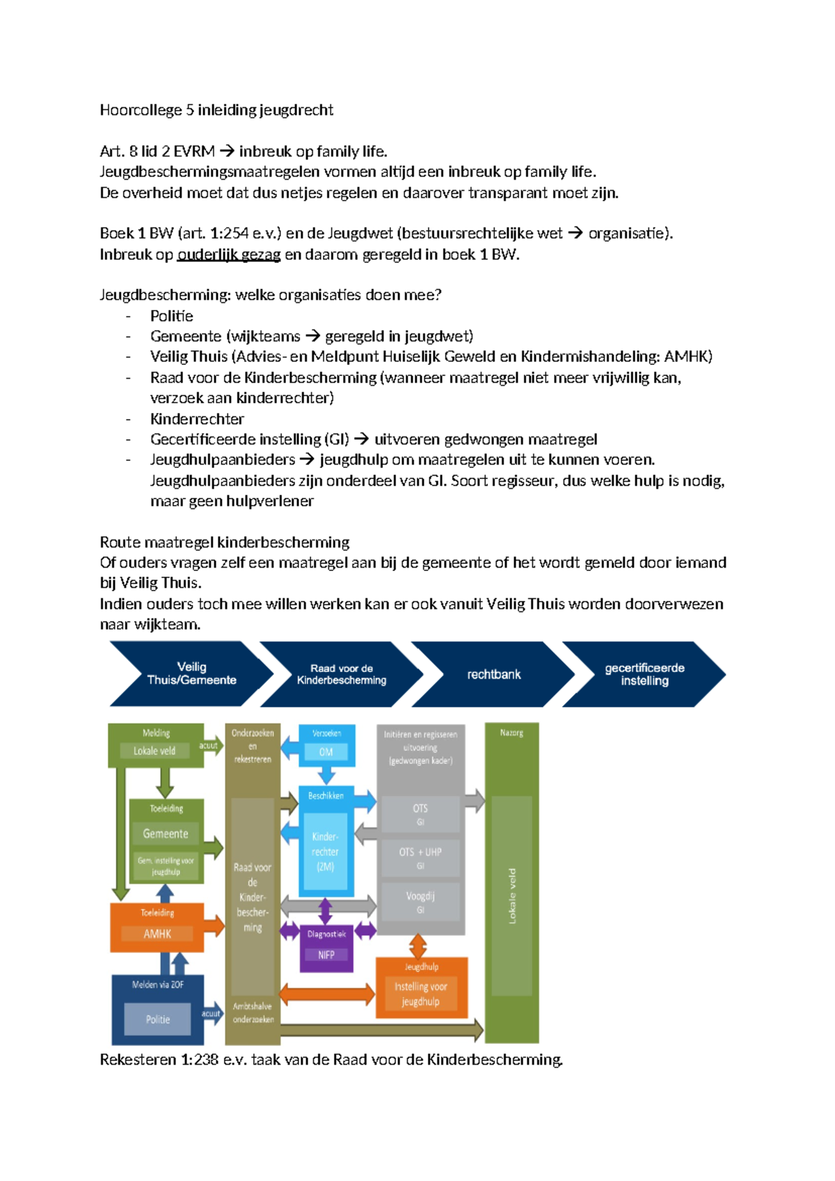 Hoorcollege 5 Inleiding Jeugdrecht - Hoorcollege 5 Inleiding Jeugdrecht ...