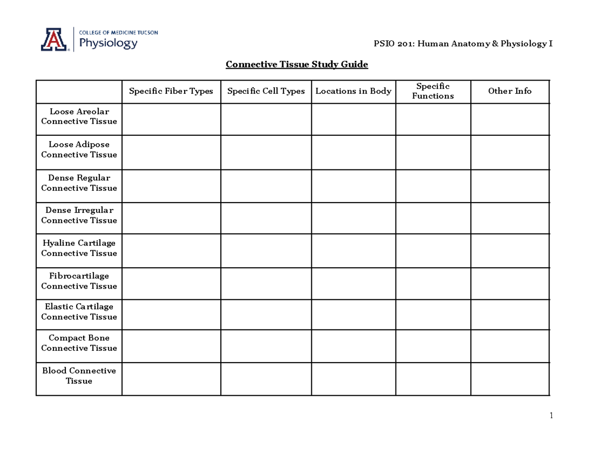 Connective Tissue Study Guide.docx - PSIO 201: Human Anatomy ...