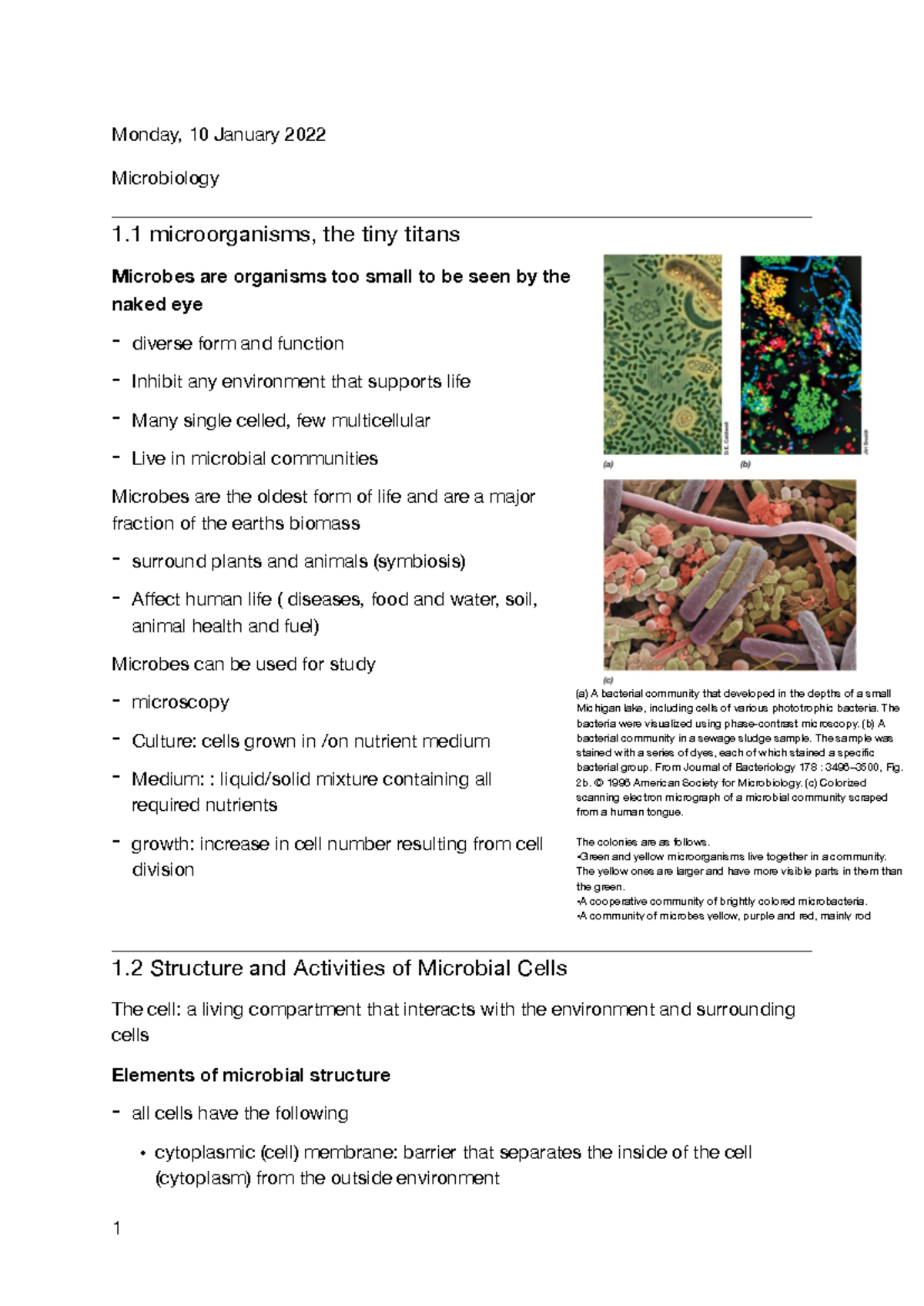Microbiology Lecture Notes: Overview of Microbial Life and Functions ...