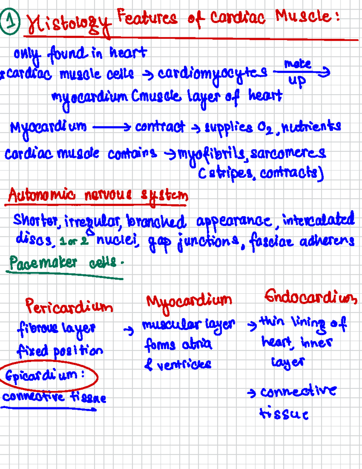 Anatomy of heart histolozicad … - Histology Features of Cardiac Muscle ...
