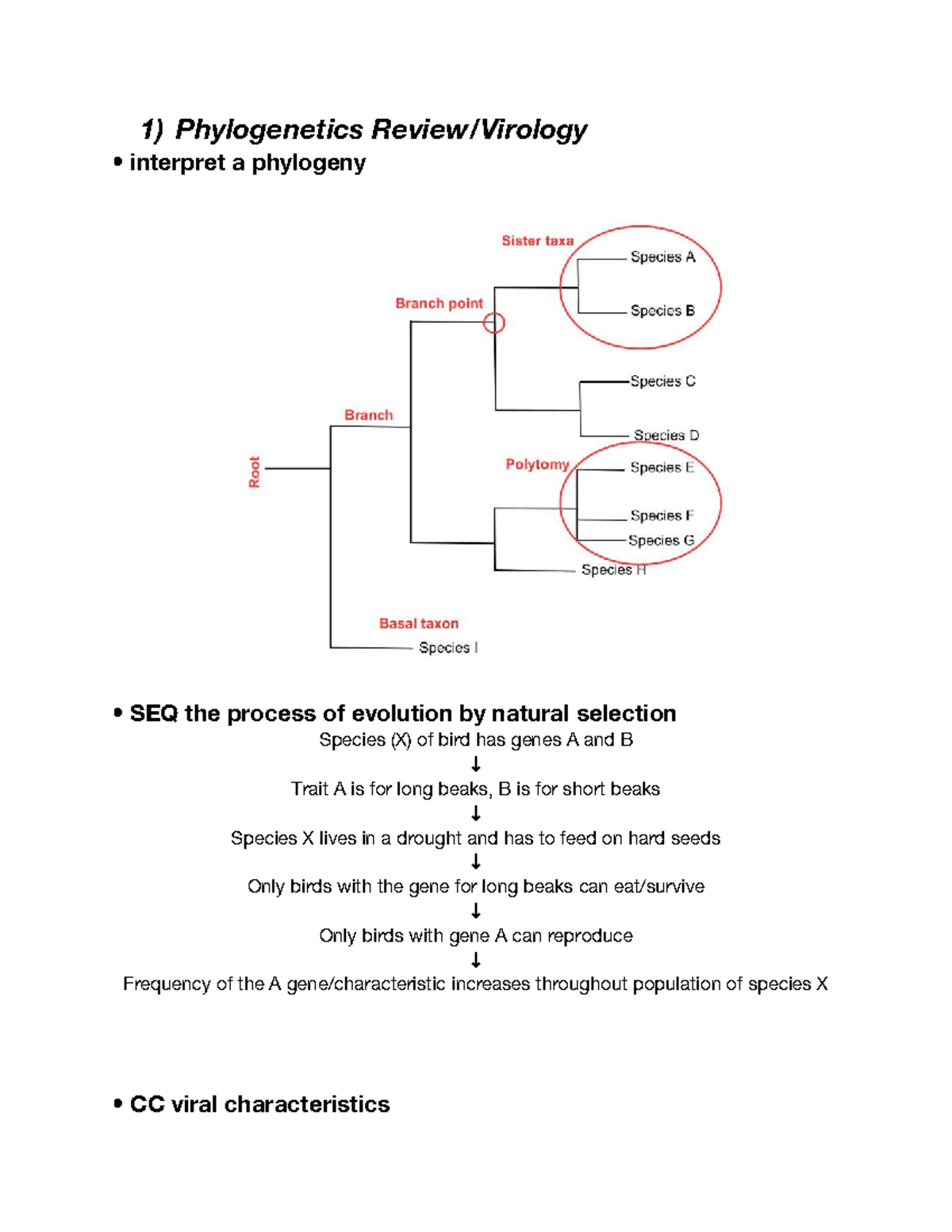 Gen Bio 116 - Exam 1 Study Guide: Evolution, Cells, and Diversity - Studocu