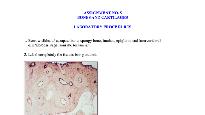 ASSIGNMENT 5: BONES AND CARTILAGES LAB PROCEDURES - Studocu