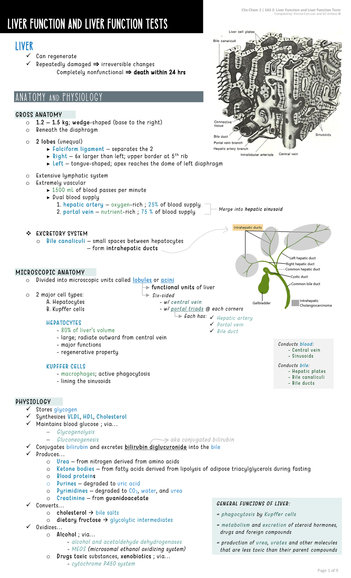 Clinical Chemistry 2 - Liver Function Tests Overview and Analysis - Studocu
