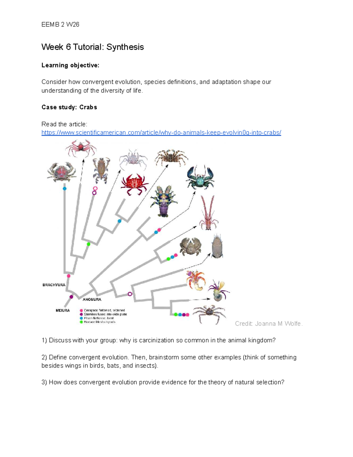 EEMB 2 W26 Week 6 Tutorial: Synthesis - Studocu
