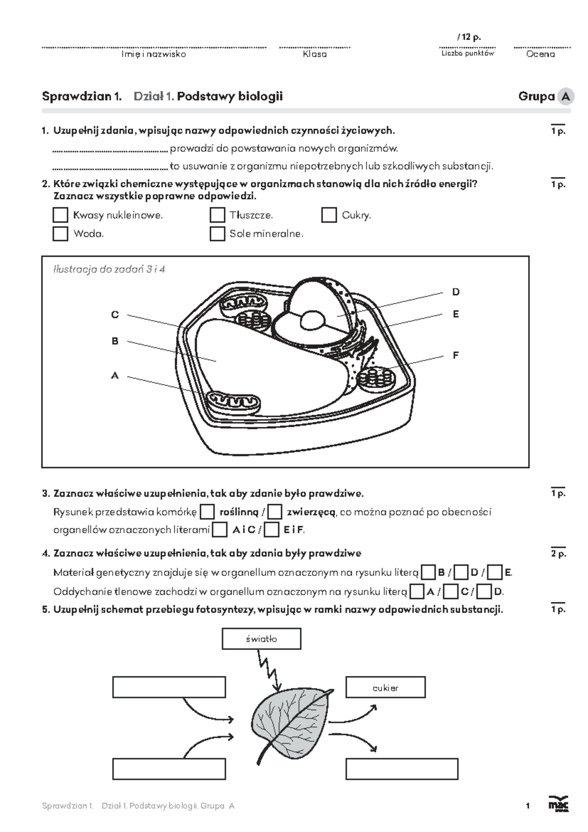 1006 Biologia V. Sprawdzian 1 - Dział 1, Grupa A, B, C - Studocu