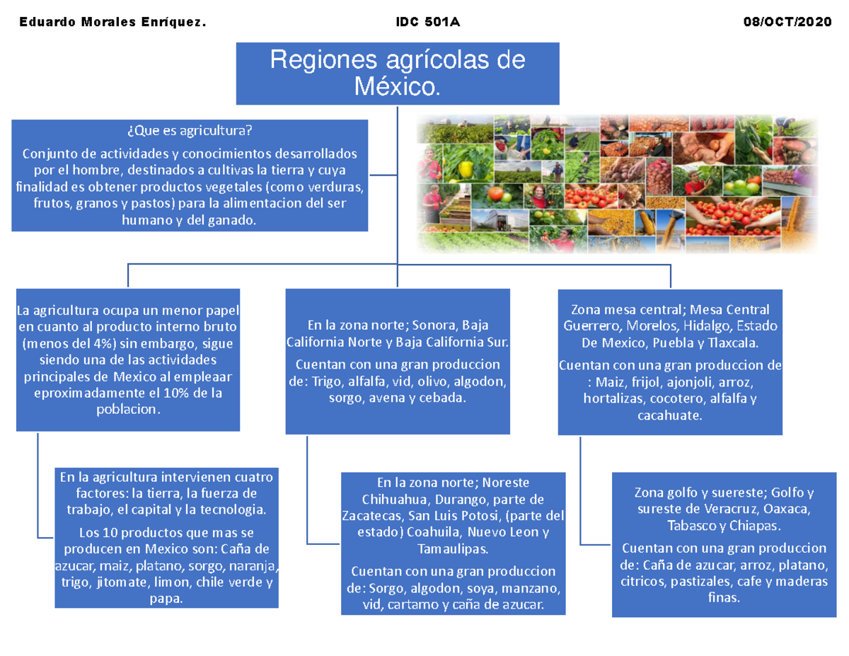 Qué Ocurrió En Las Regiones Agrícolas Del País fity.club