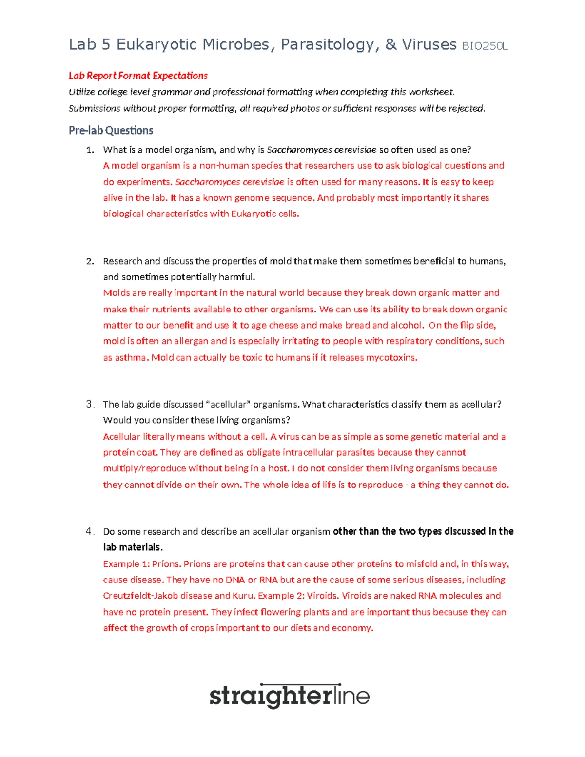 Lab 18: The Reproductive System - BIO202L Lab Report and Observations ...