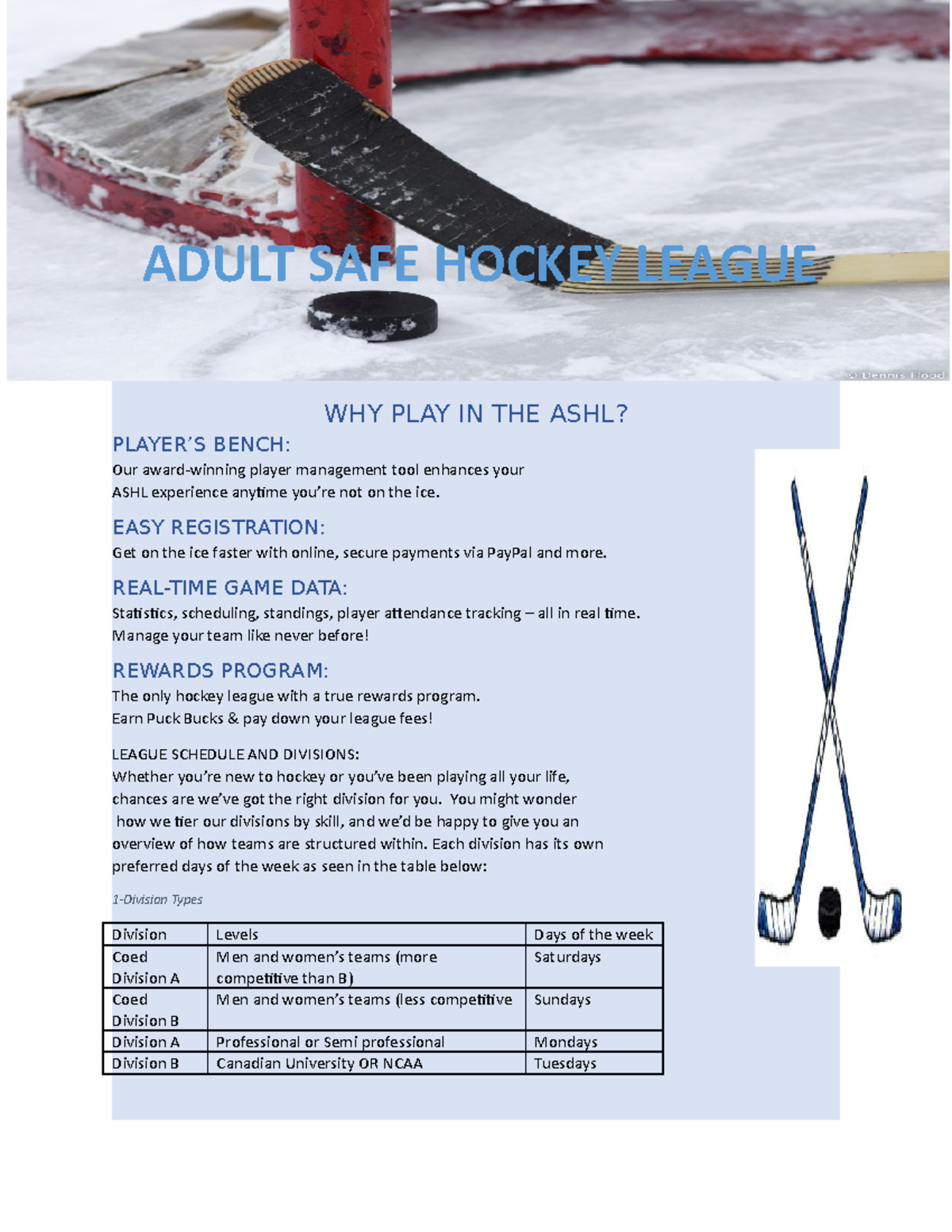 Project 1 - Why You Should Join the Adult Safe Hockey League - Studocu