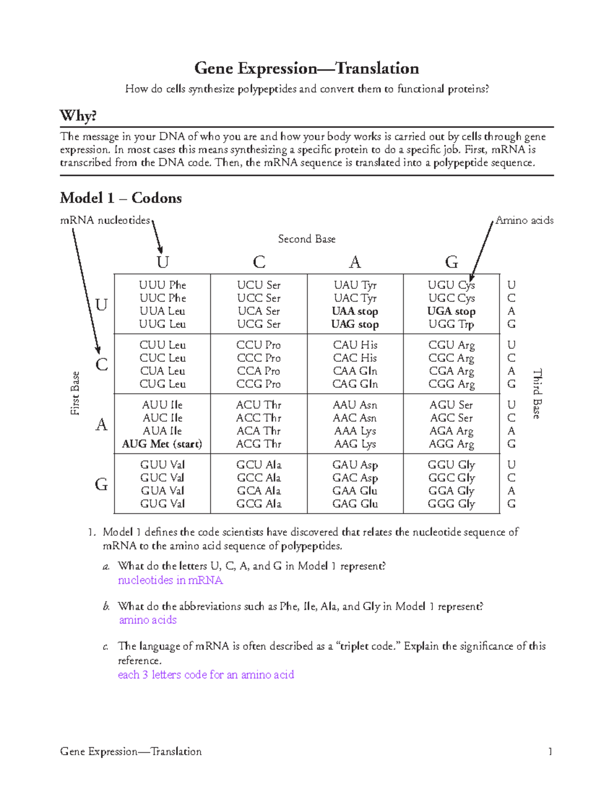 Gene Expression & Translation: Key Concepts and Activities for AP ...