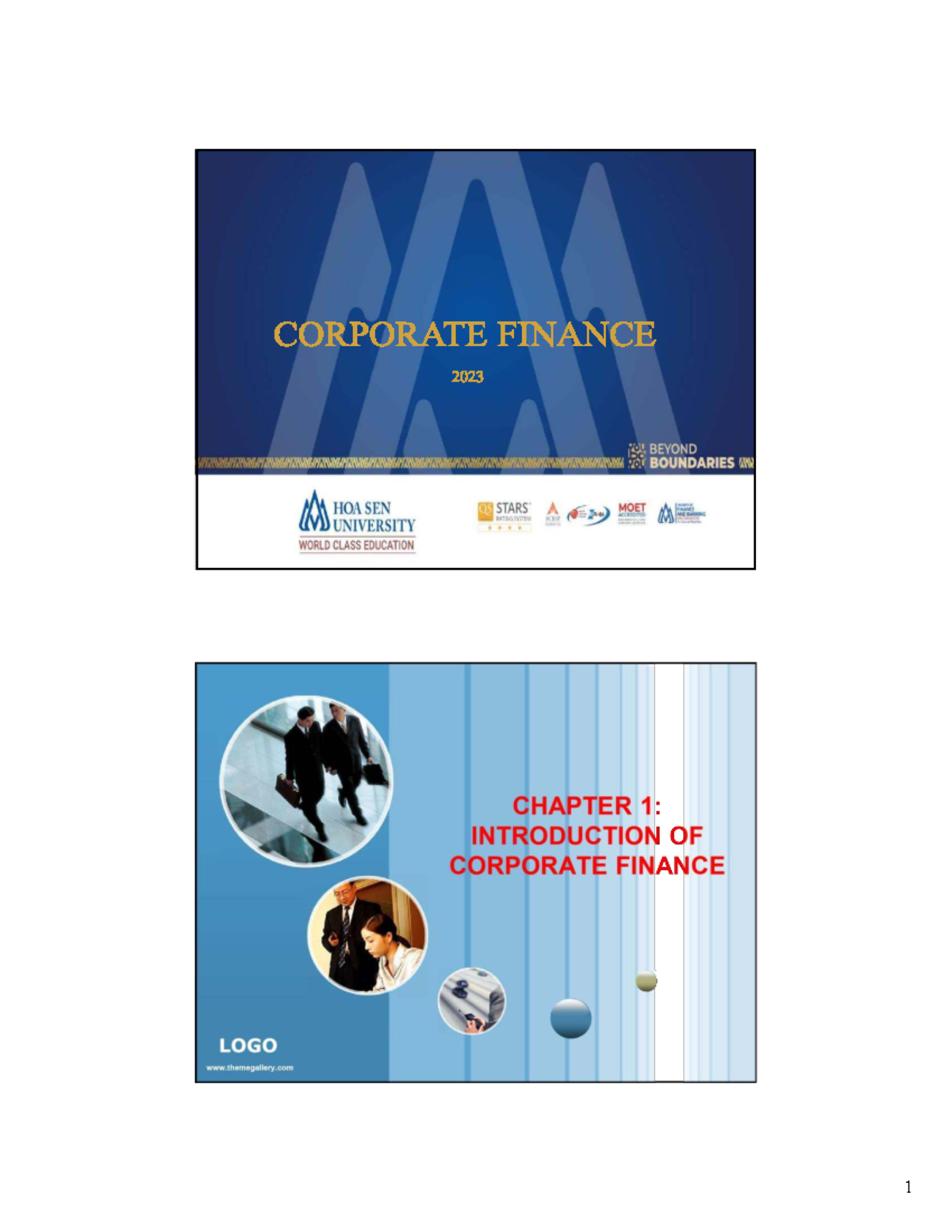 Chapter 1: Introduction to Corporate Finance (FIN 101) - Studocu