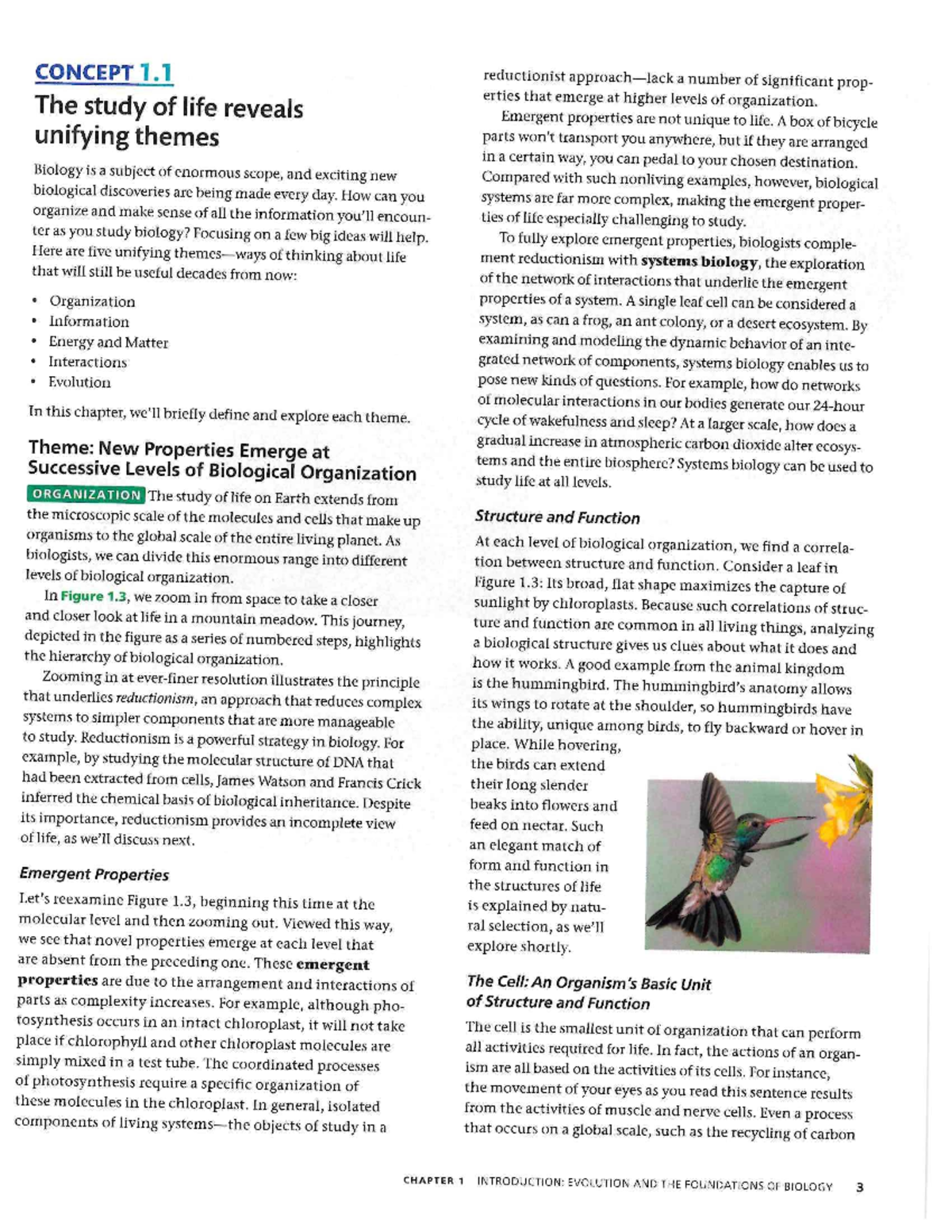 Emergent Properties and Biological Organization: A Study Guide (BIO 101 ...