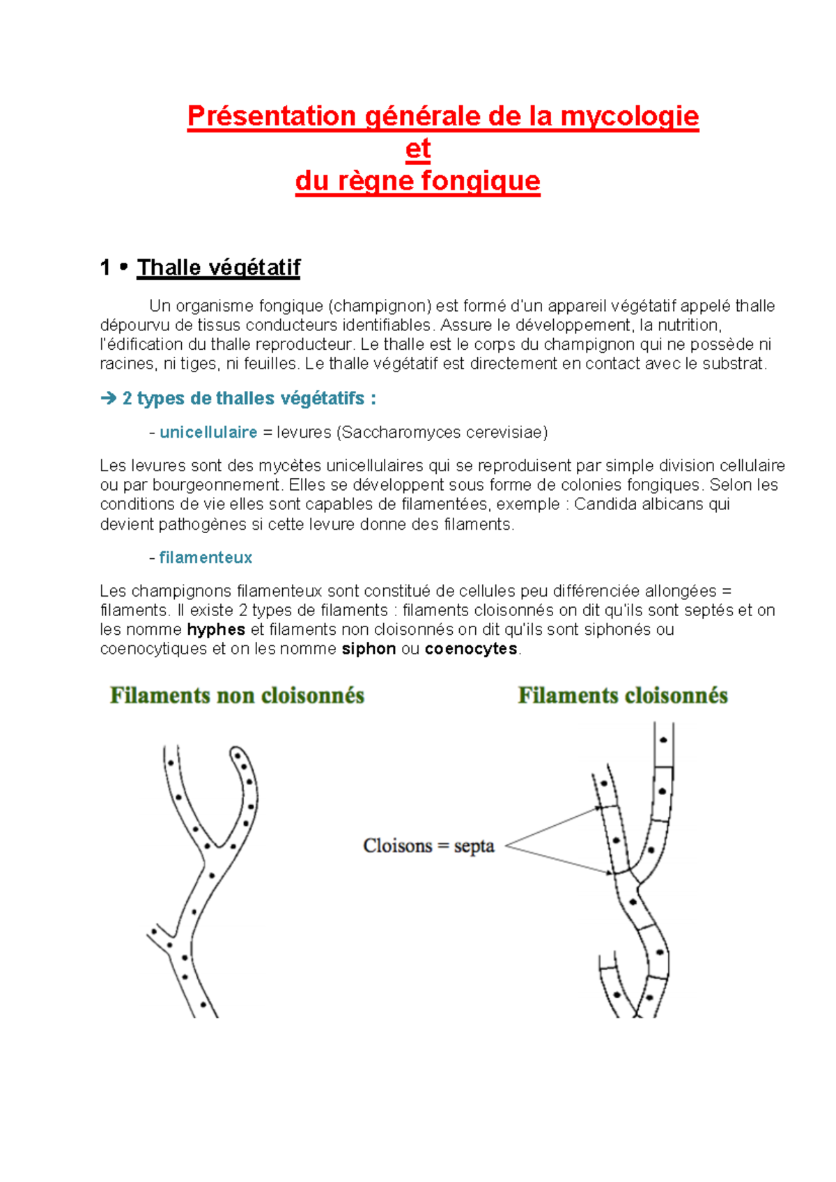 UE 2 - Introduction à la Mycologie et au Règne Fongique - Studocu