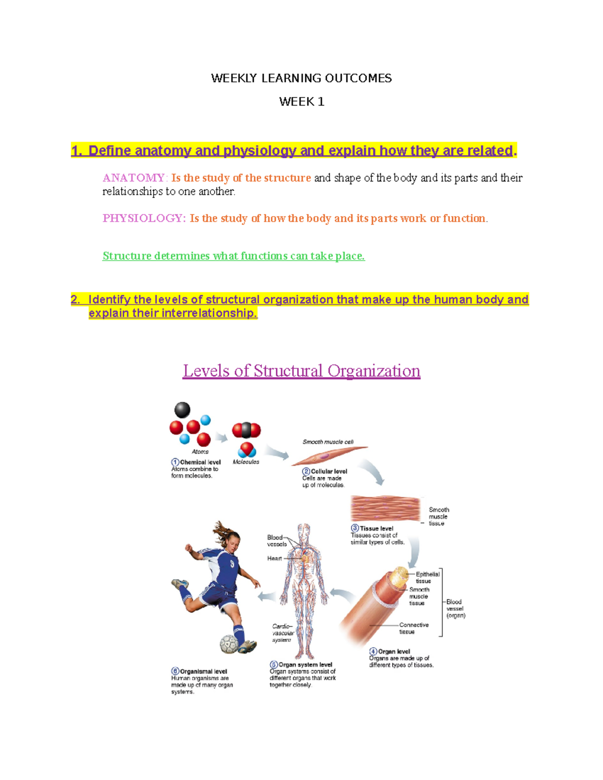WEEK 1 Study Notes: Anatomy & Physiology Overview - Studocu