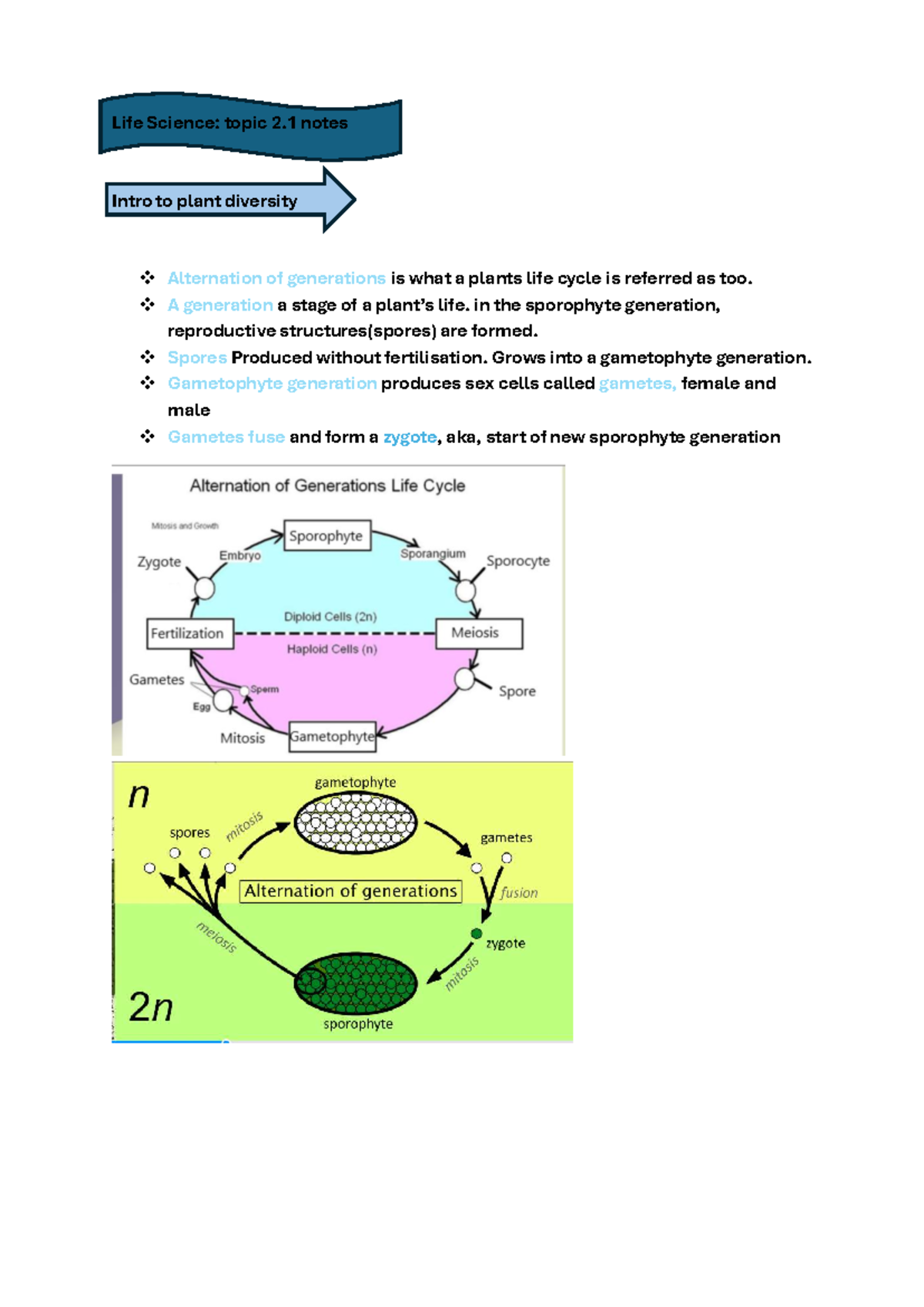 Life Science: Topic 2.1-2.4 Notes on Plant Diversity and Generations ...