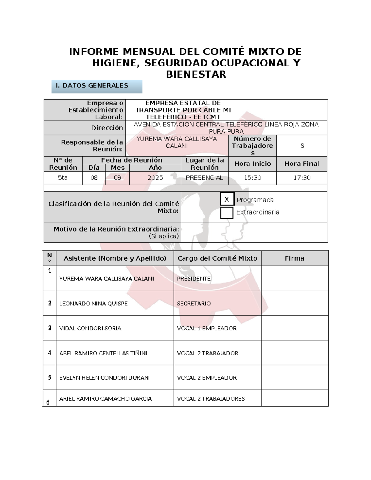 Informe Mensual del Comité Mixto de Higiene y Seguridad - Sept 2025 ...