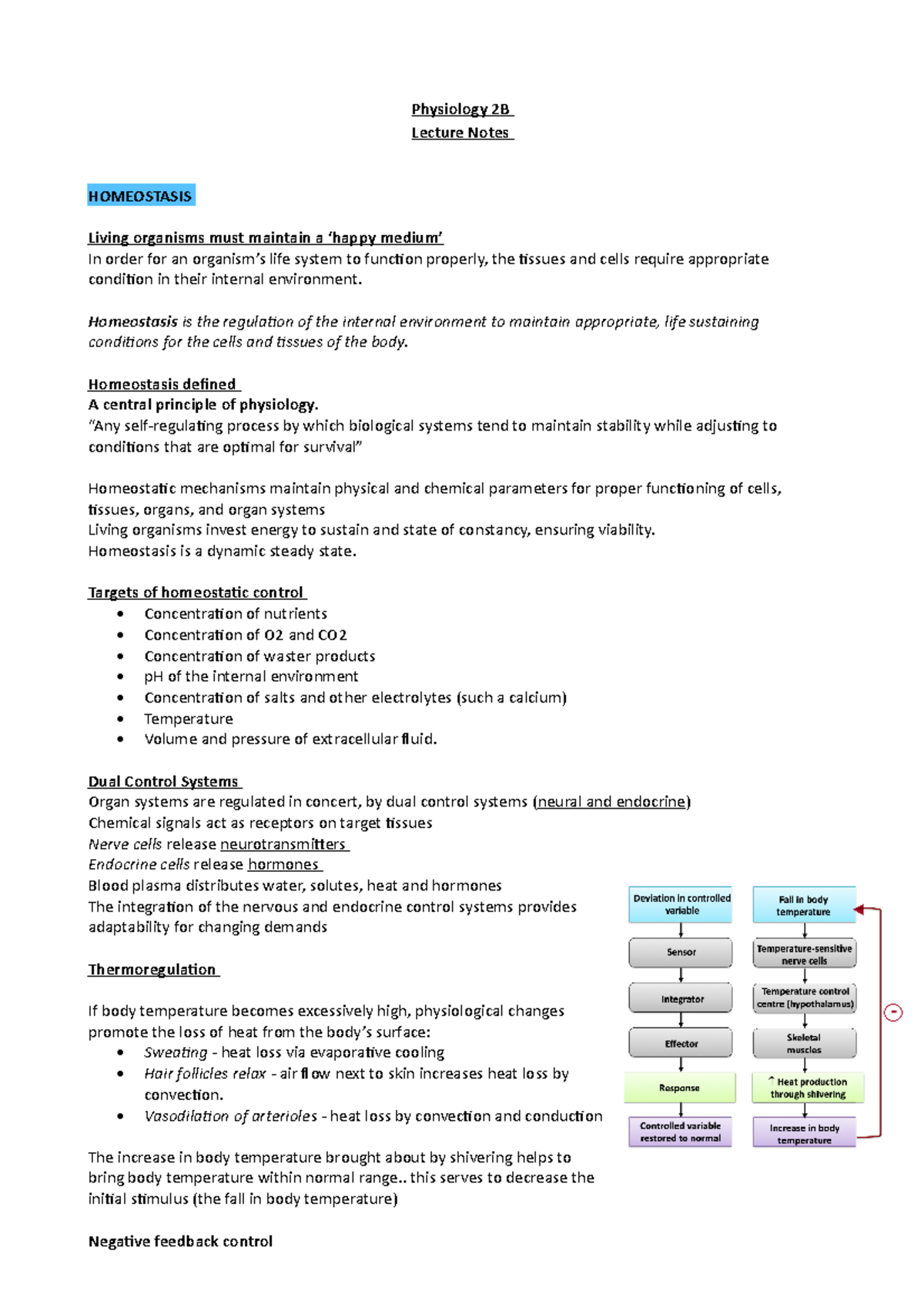 Physiology 2B - all the lecture notes for the semester - Physiology 2B ...