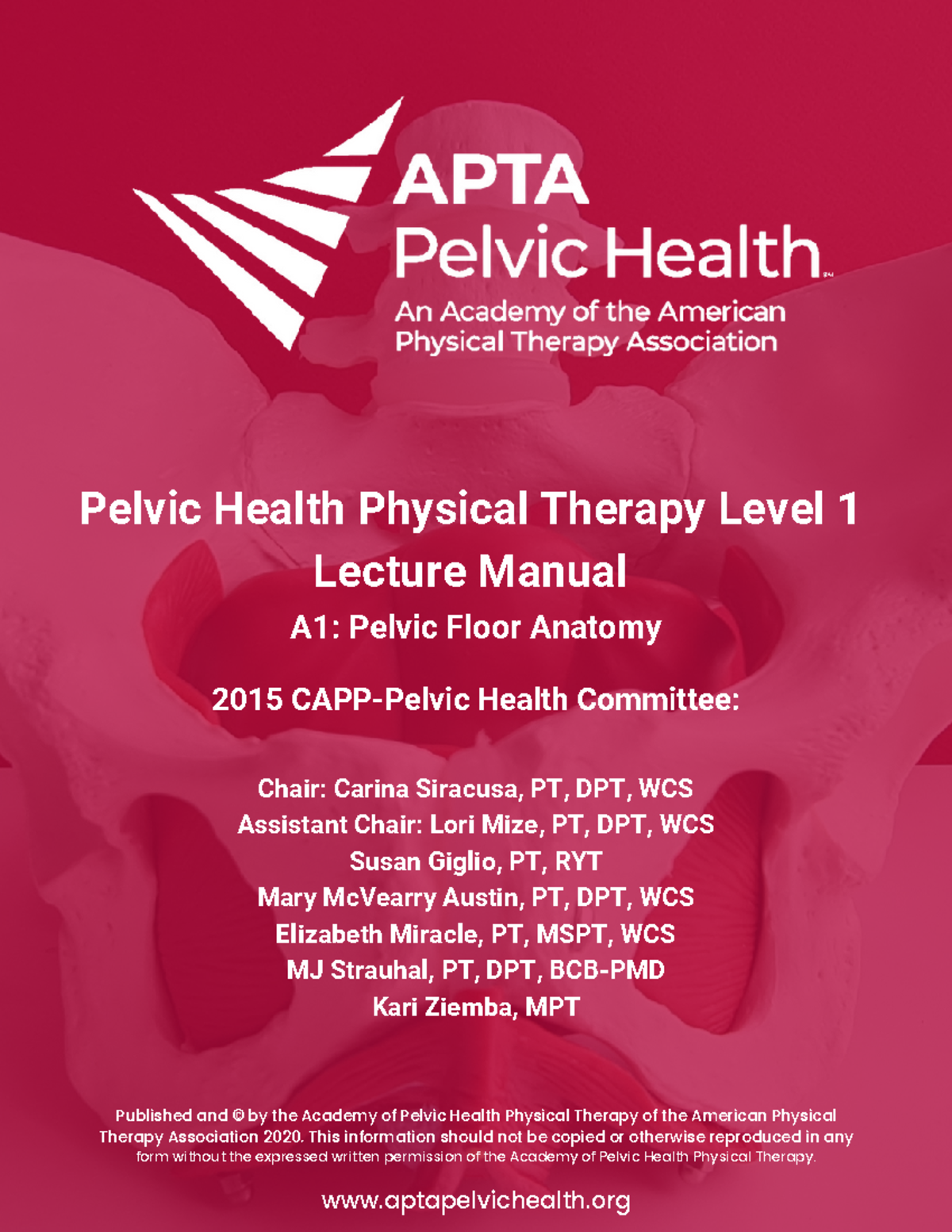 Pelvic Health PT - Level 1 Lecture Manual: A1 Anatomy of the Pelvic ...