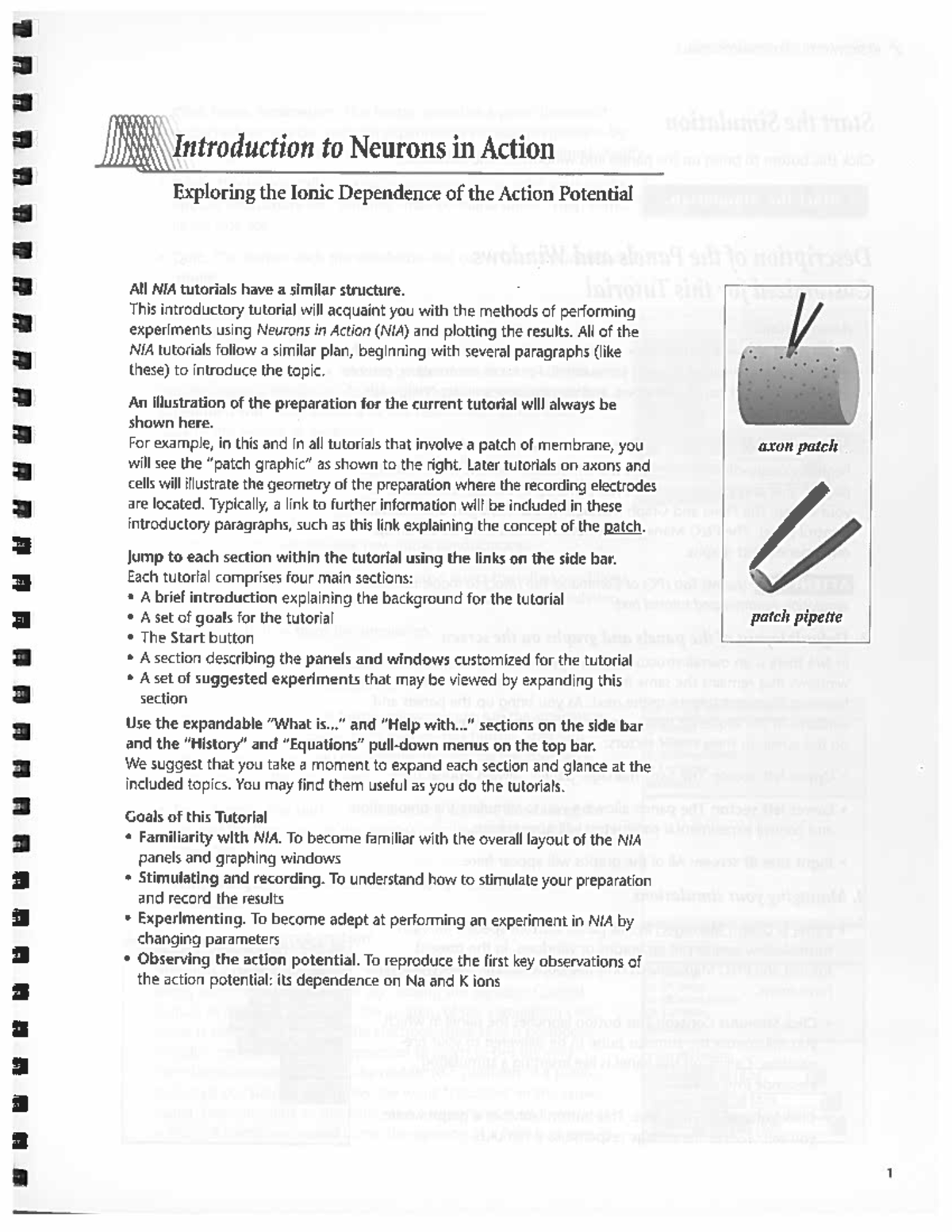 01 - Introduction to Neuron in Action - Introduction to Neurons in ...