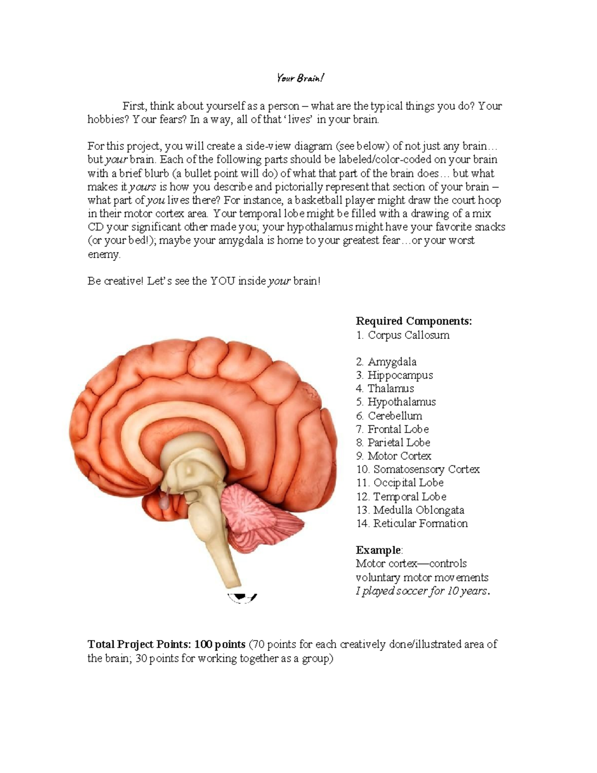 Your Brain Assignment Sheet - Your Brain! First, think about yourself ...