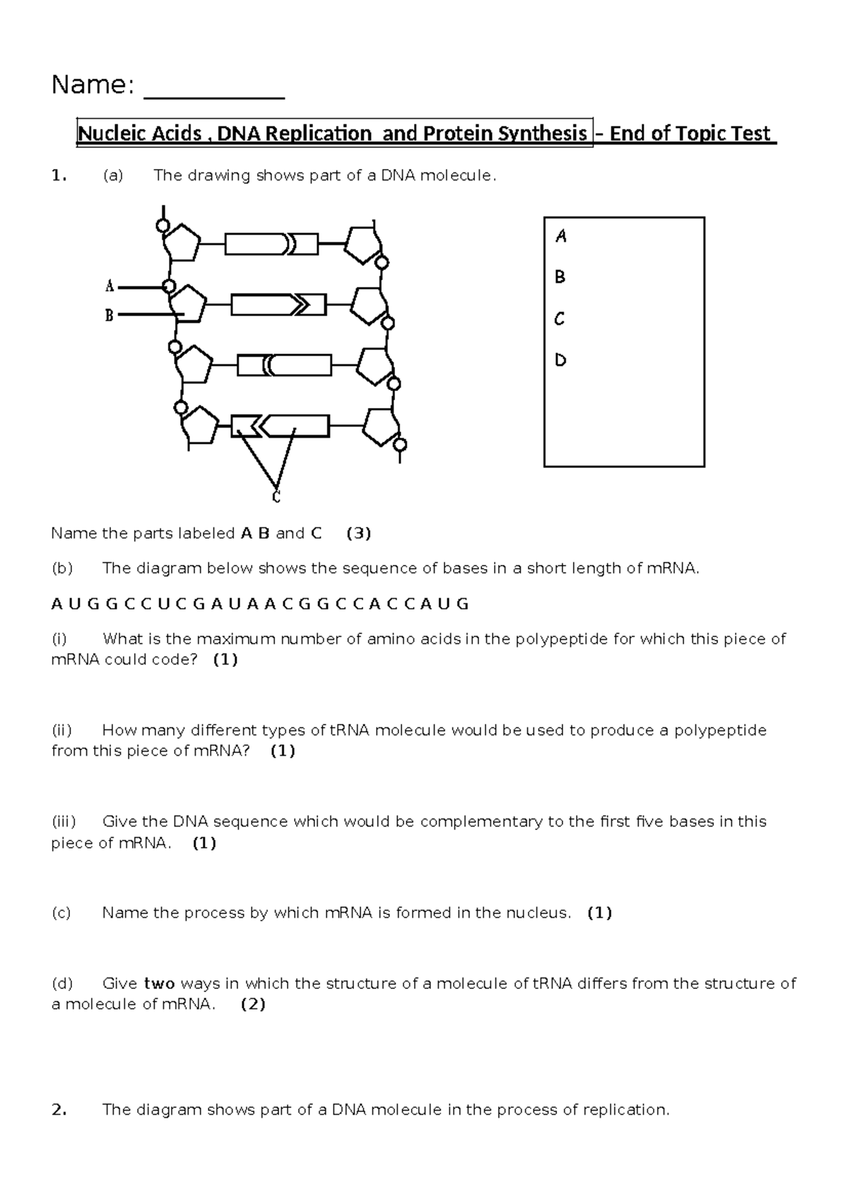 DNA and Protein Synthesis End of Topic Test 1: Key Concepts and ...