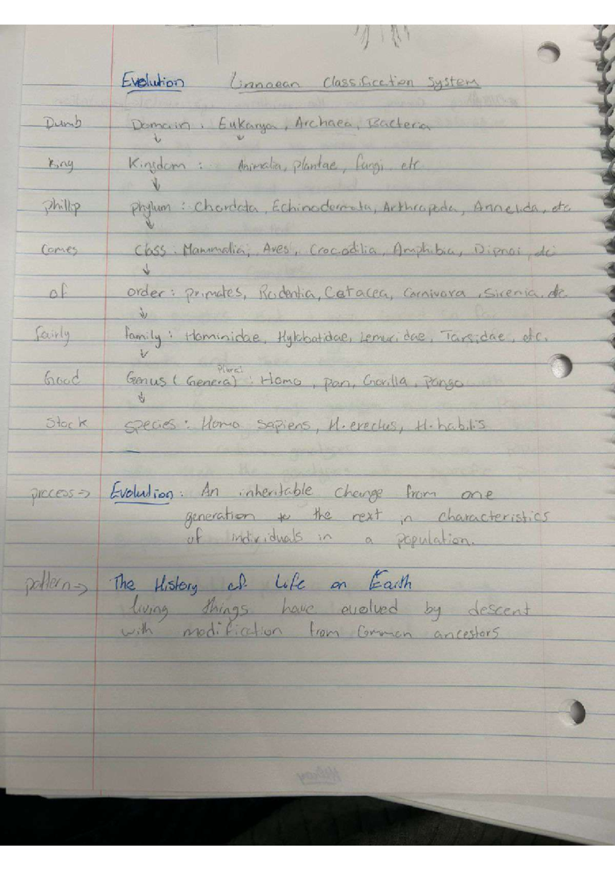 Evolution: Linnaean Classification System Overview - Studocu