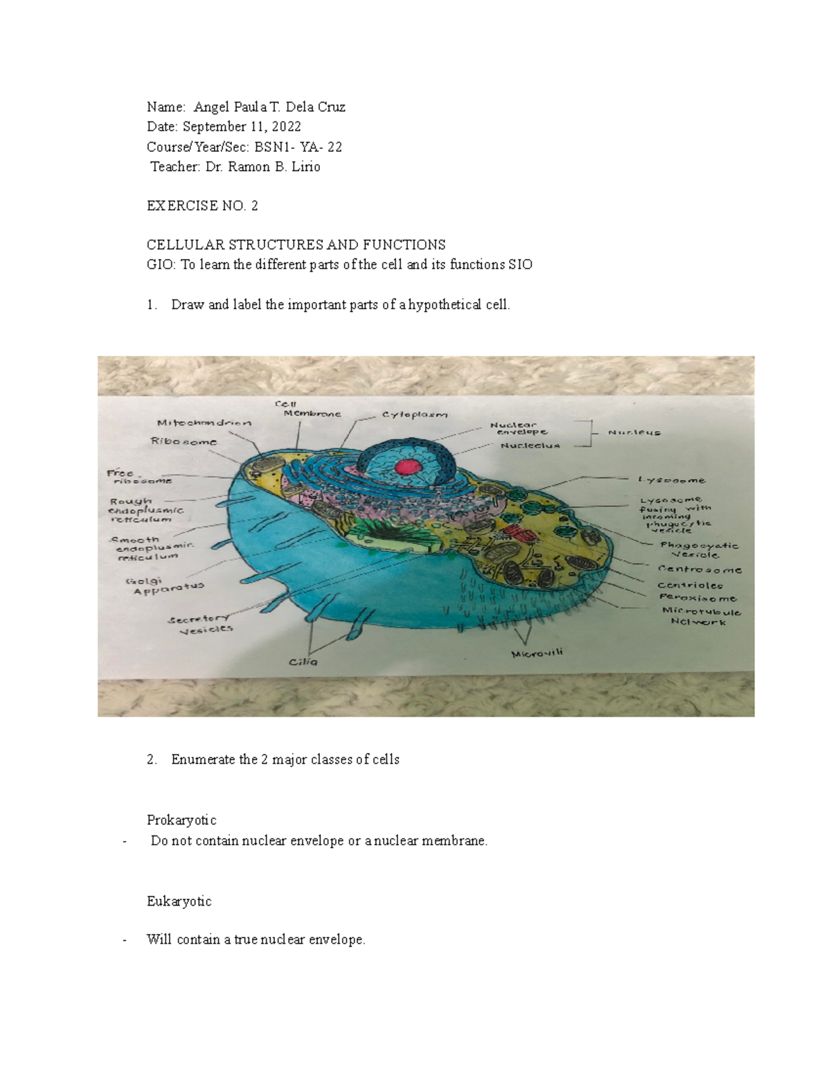 Exercise 2: Cell Structure and Functions - BSN1-YA-22 Notes - Studocu
