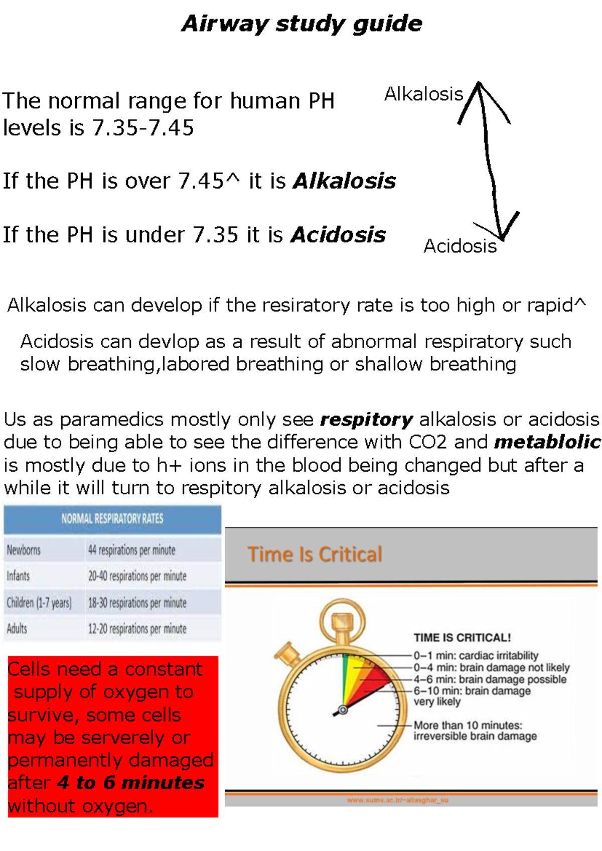 Paramedic Training: Airway Management and Acid-Base Balance Guide ...