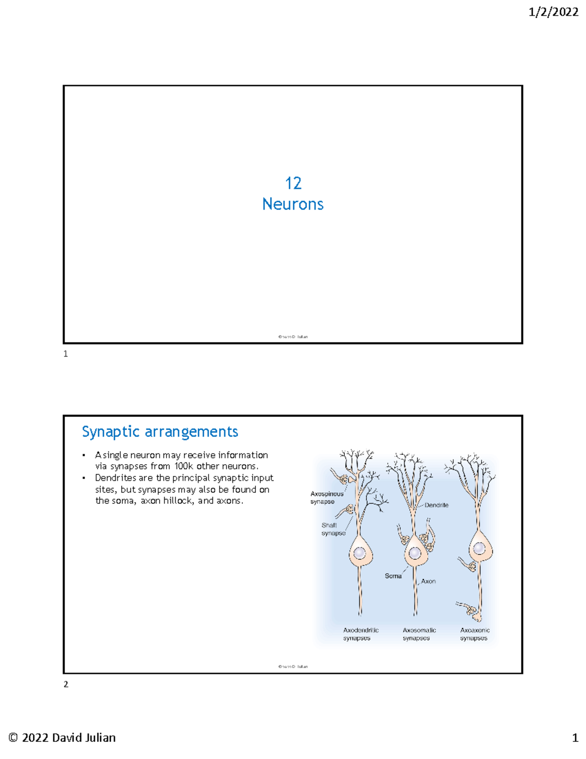 12 Neurons - Key Concepts and Synaptic Functions in Neurobiology ...