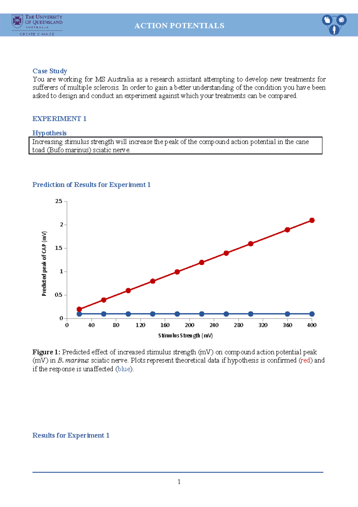 Action Potential Report Template - Case Study You are working for MS ...