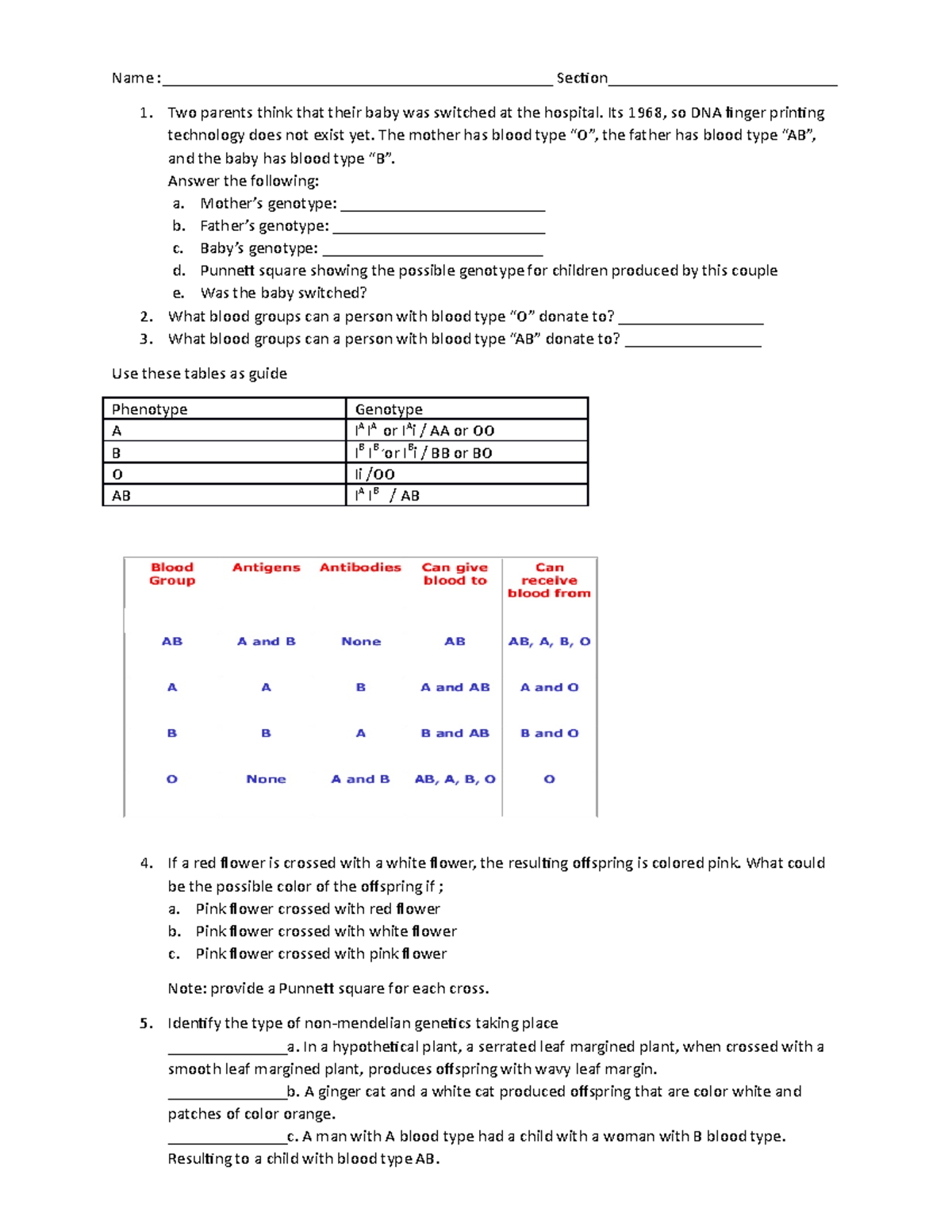 Seatwork 2 - Mendelian Genetics - Name ...