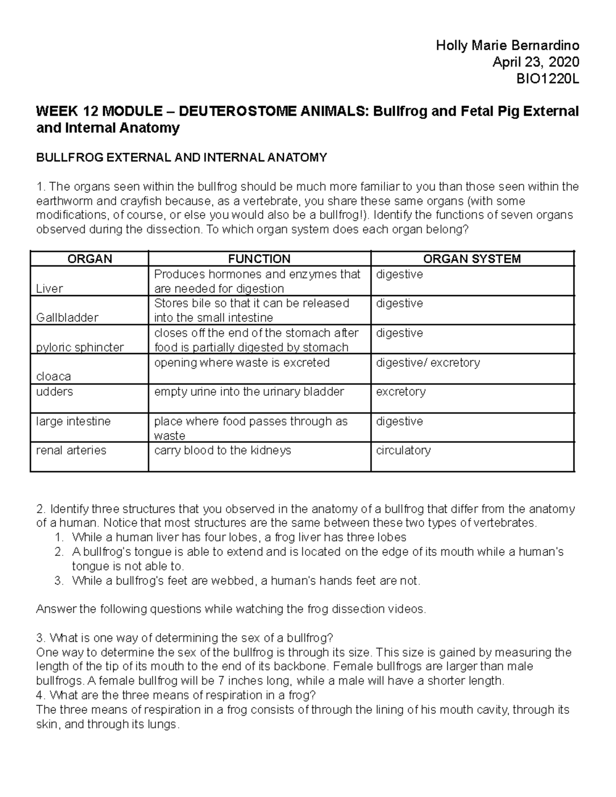BIO 1220L Lab: Bullfrog & Fetal Pig Anatomy - External & Internal ...