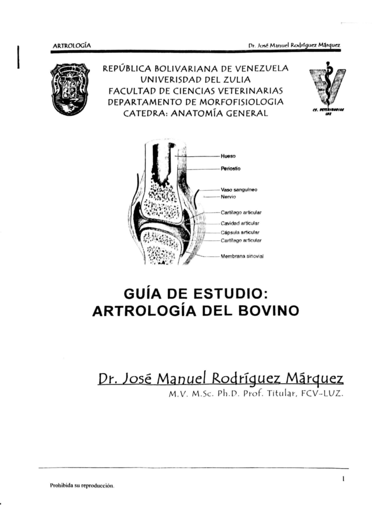 Guía de Estudio: Artrología del Bovino - Anatomía General - Document Preview