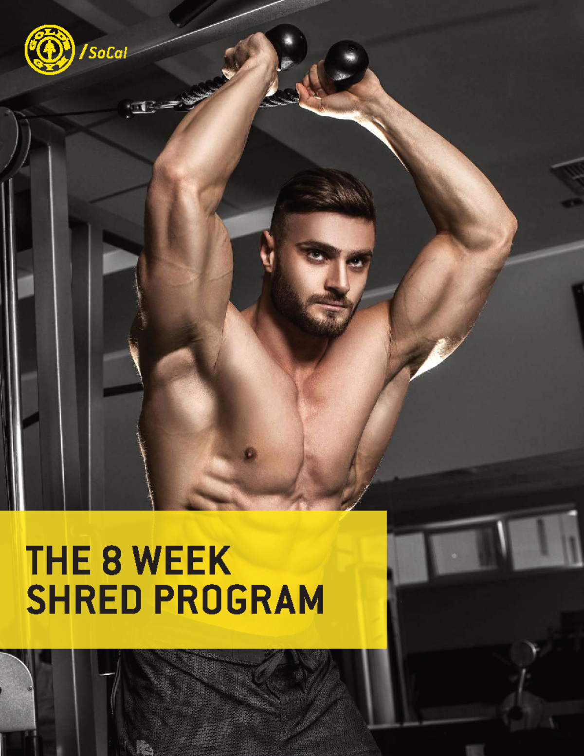 8 Week Shred Program: Comprehensive Workout Guide and Meal Plan - Studocu