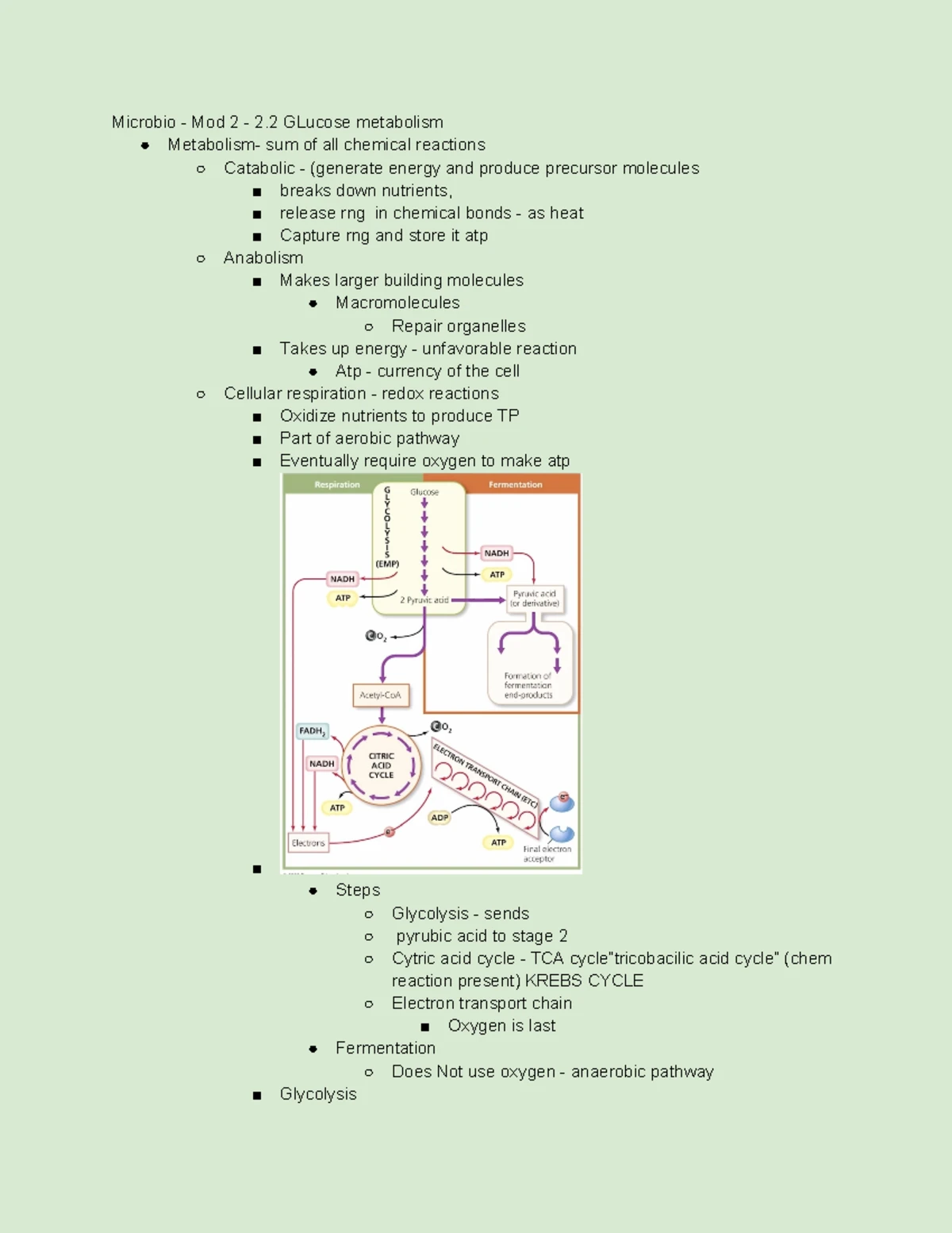 Microbio day 2 - Parts of a cell - Parts of a cell - Very complex ...