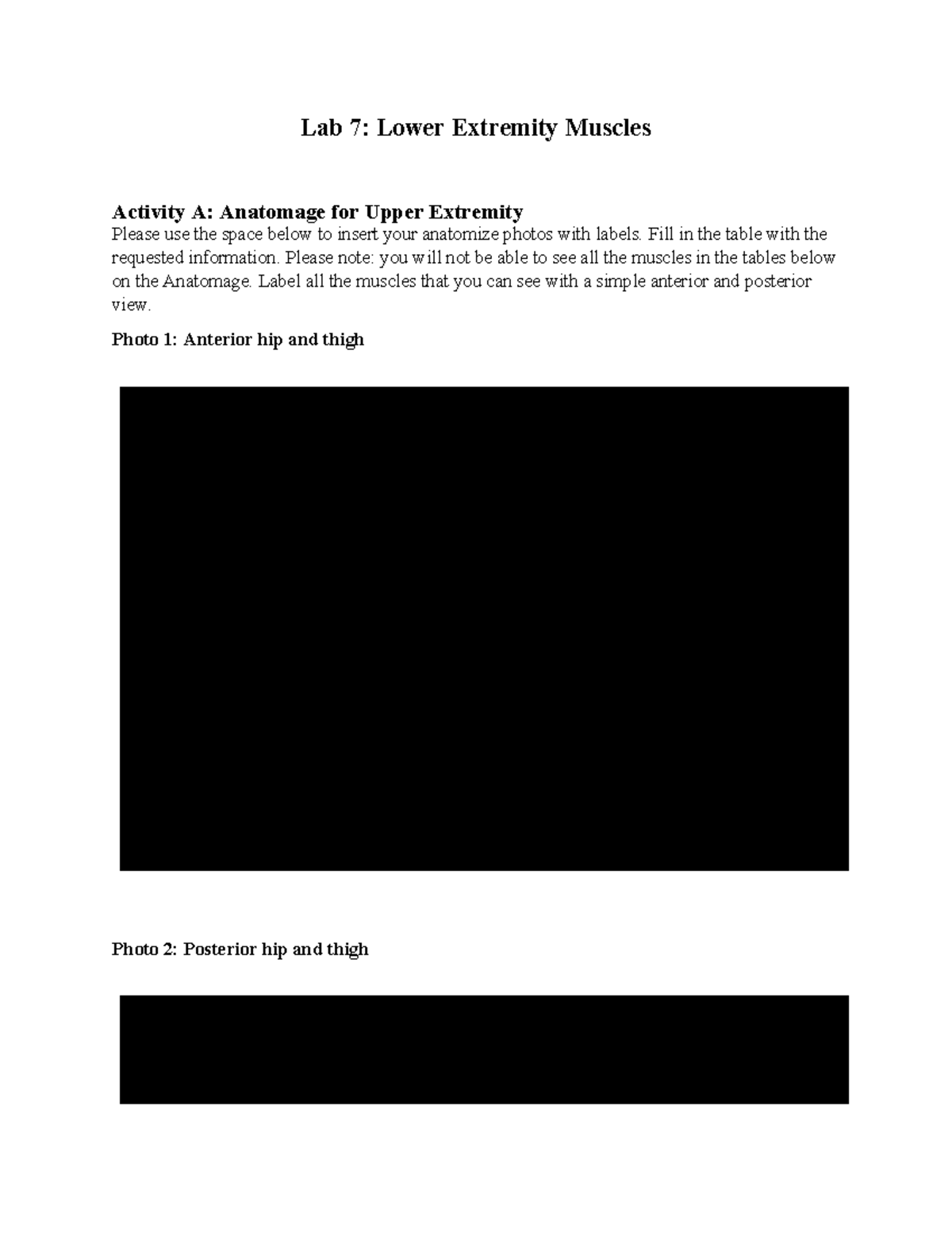 Lab 7: Lower Extremity Muscles Activity A - Anatomage Worksheet - Studocu