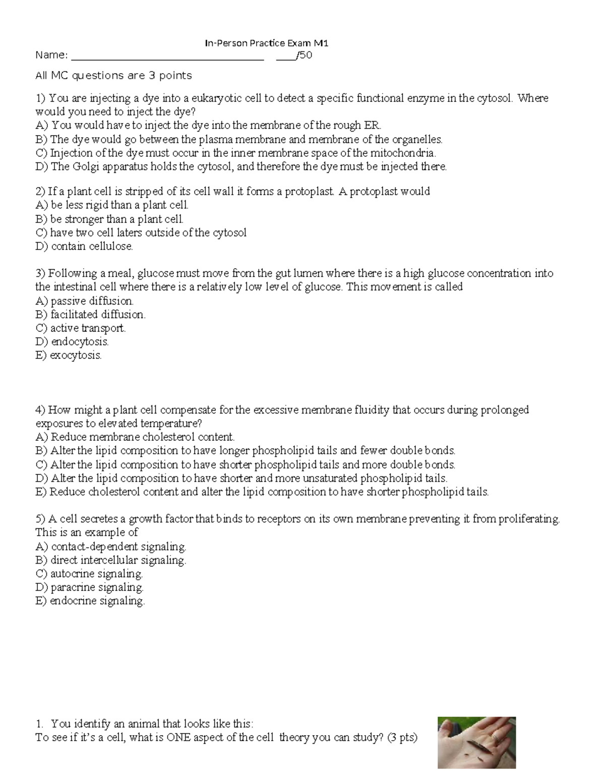 Practice Exam M1: Online Module 2 MC Questions - Studocu