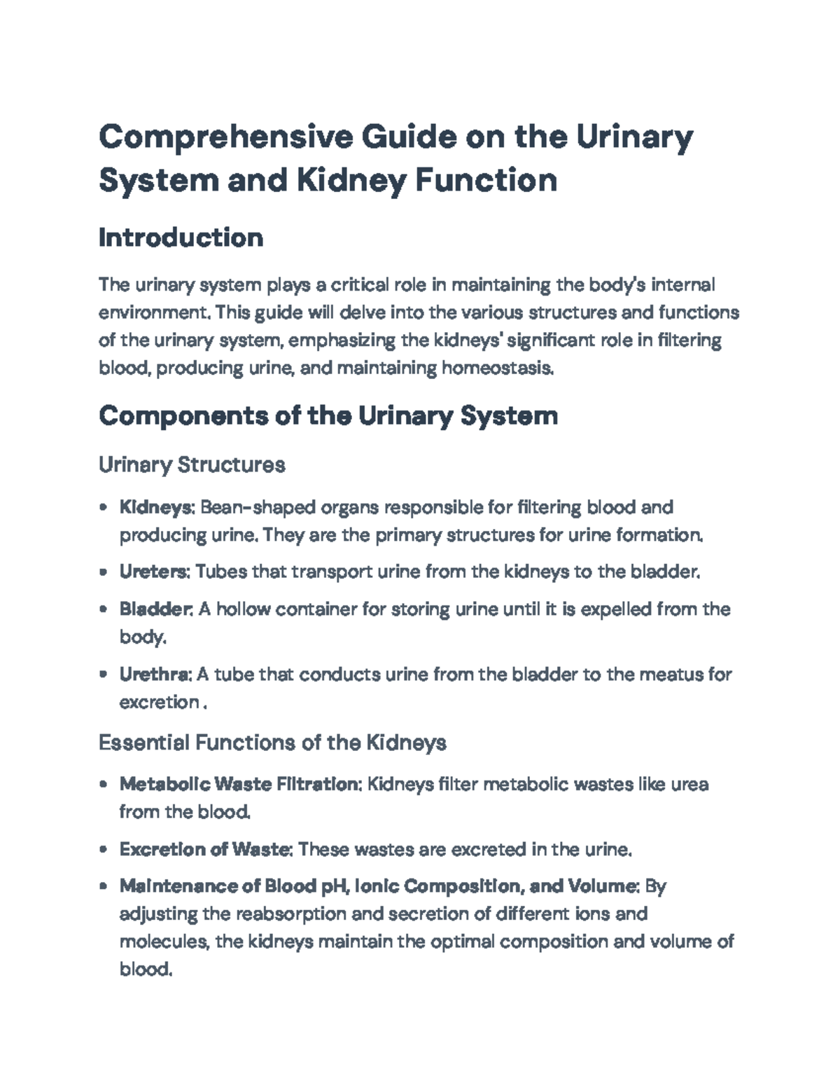 Comprehensive Guide on the Urinary System: Structure & Function ...