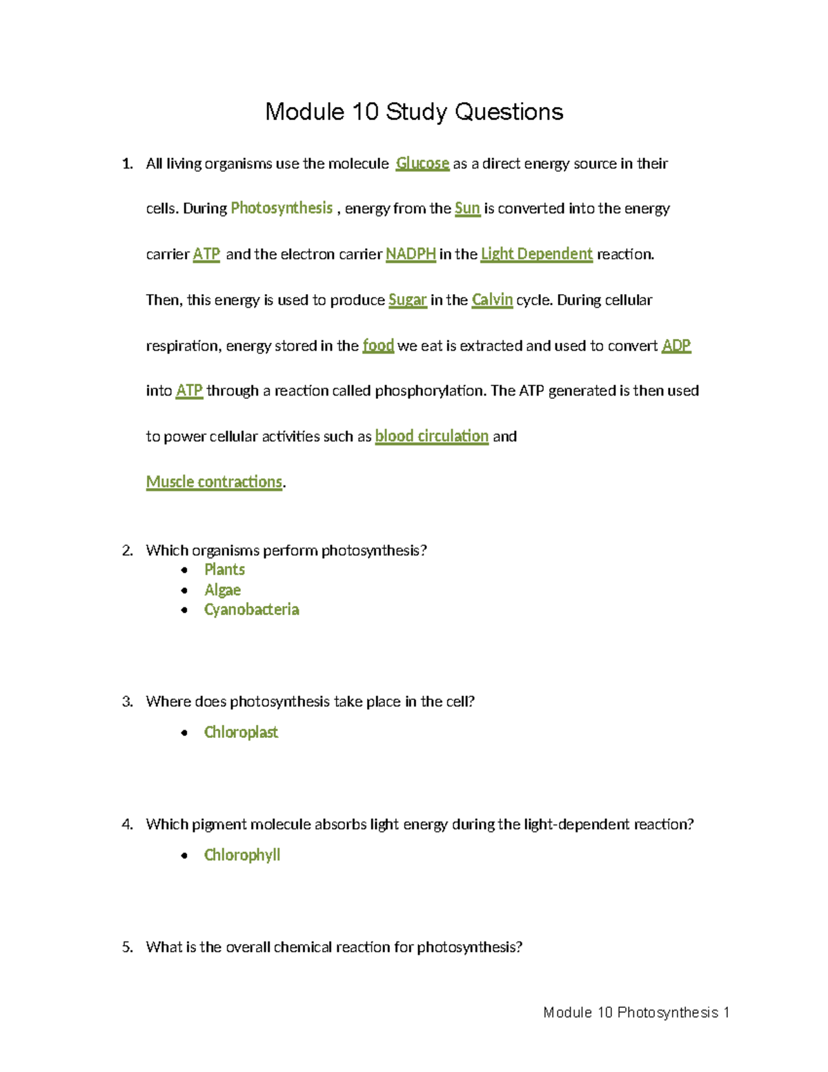 C190.v3 Module 10 Study Questions on Photosynthesis Concepts - Studocu