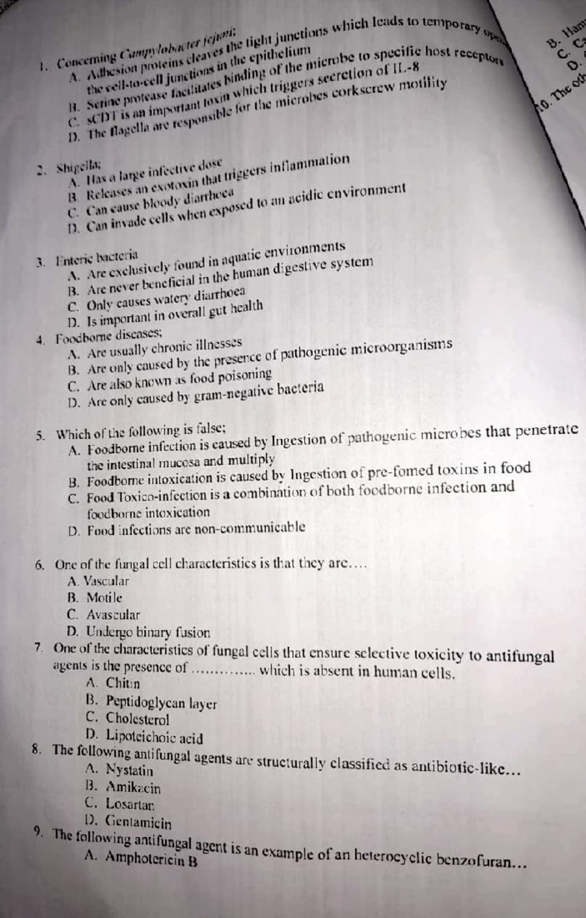 Midterm Micro Test 2 {Mycology and Bacteriology} 2024 Study Guide - Studocu