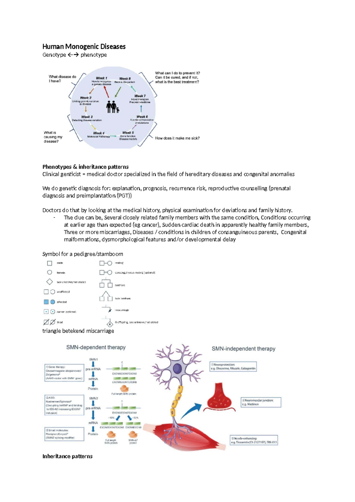 Human Monogenic Diseases: Genotype-Phenotype Inheritance Patterns Notes ...