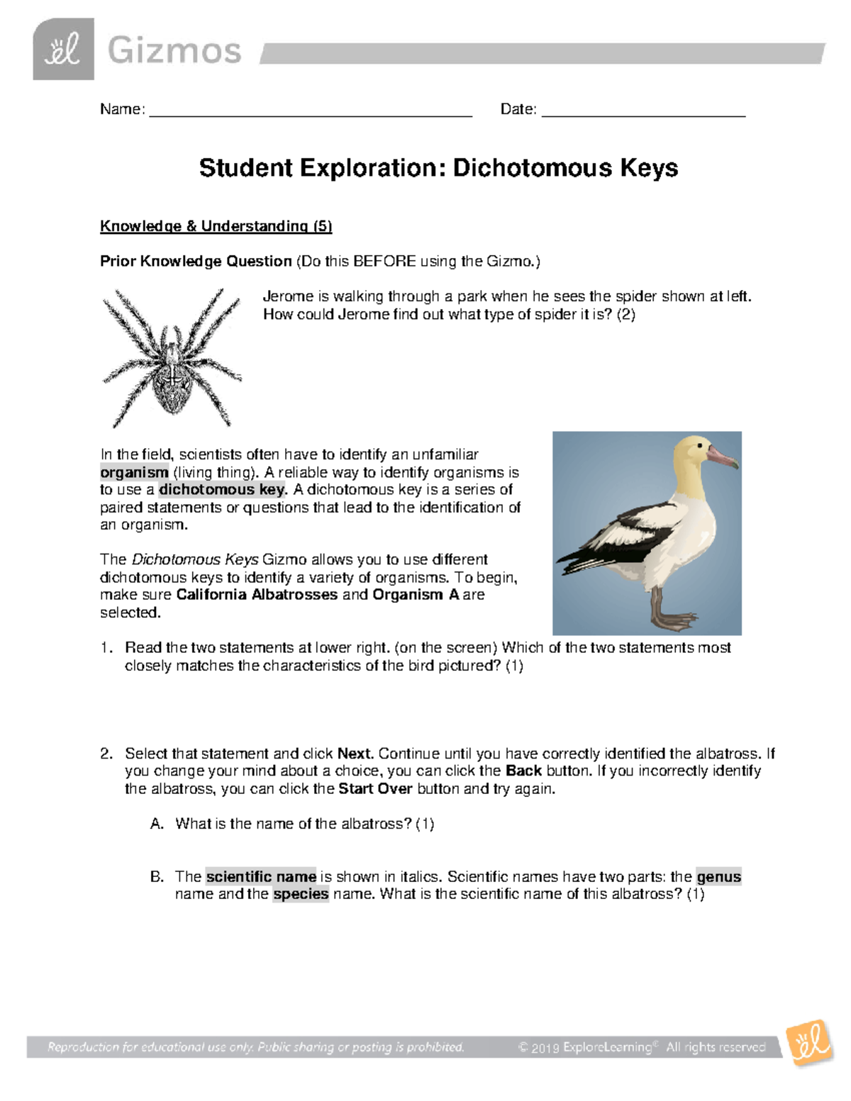 Dichotomous Keys Exploration Activity for Biology 101 Students - Studocu