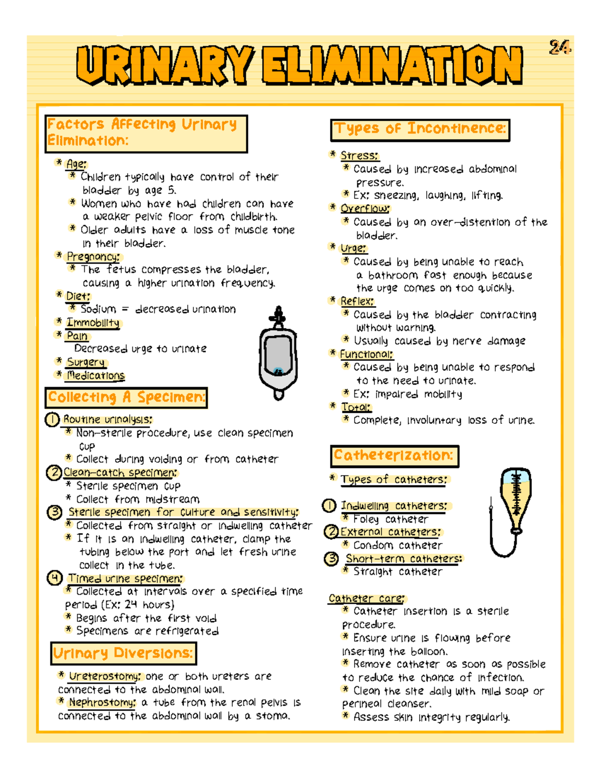 Med Surg Exam 4: Factors Affecting Urinary Elimination - Studocu