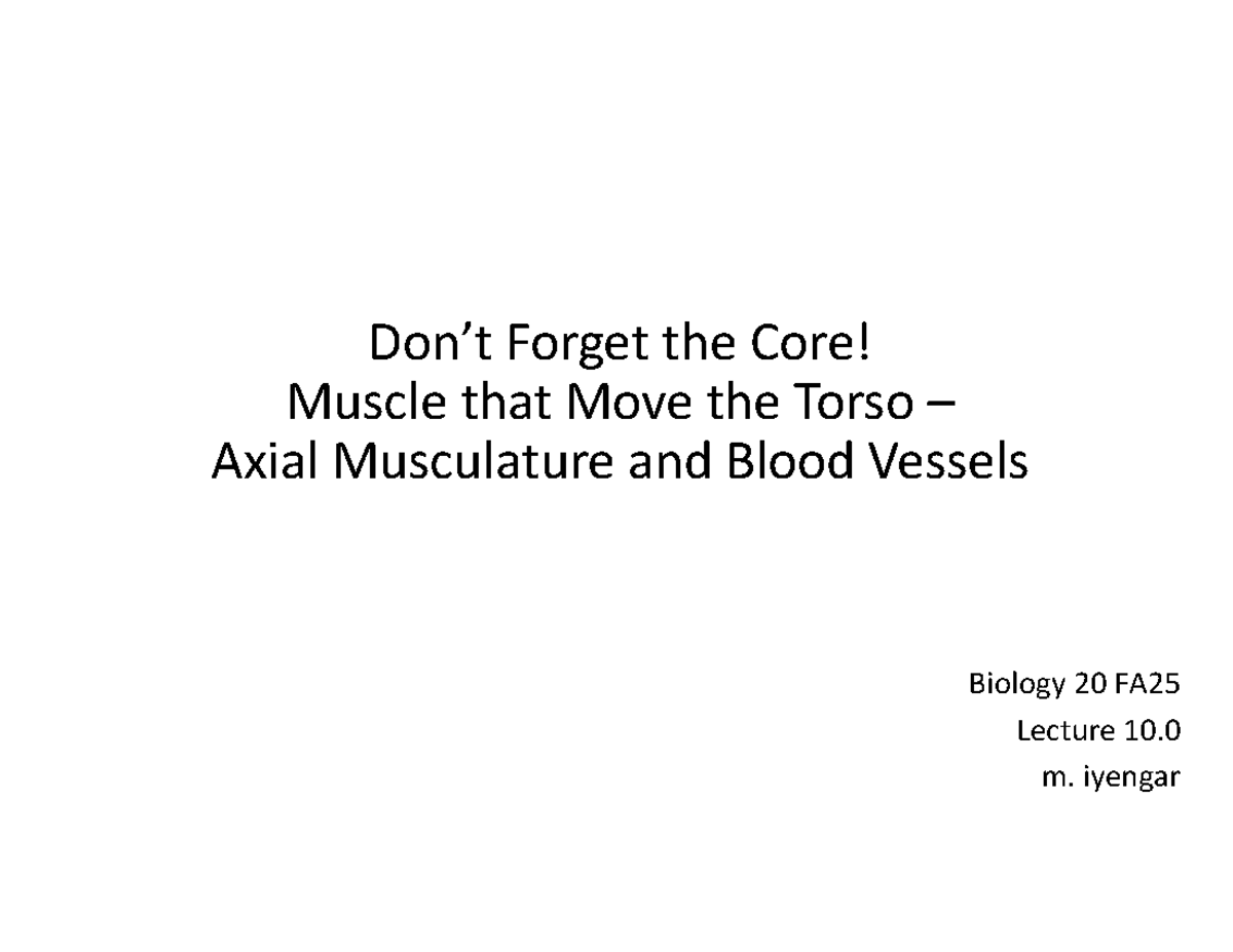 Biology 20 FA25 Lecture: Axial Musculature and Functions - Studocu