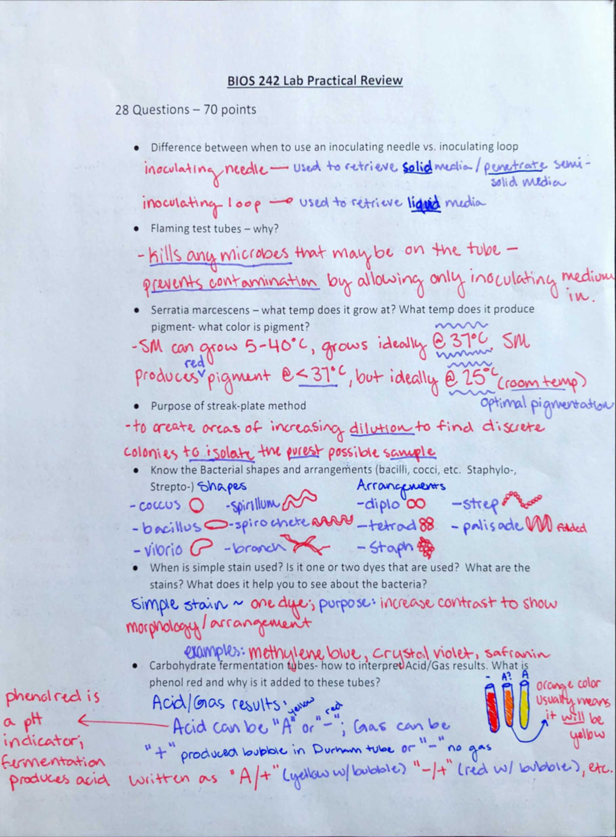 Microbiology Bios242 Final Lab Practical Exam Review Bios 242 Lab Practical Review 28 Microbiology Bios242 Final Lab Practical Exam Review Bios 242 Lab Practical Review 28