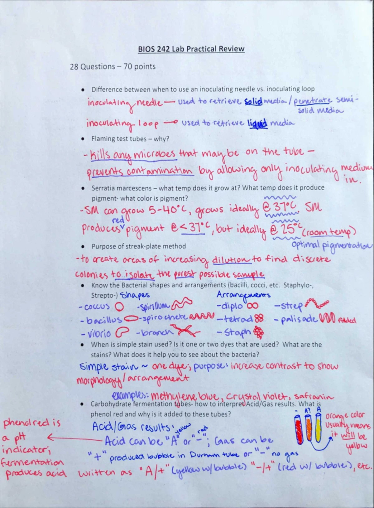BIOS242 WK3 OL Bacterial Growth Curves - Name: Lab 3: Bacterial Growth ...